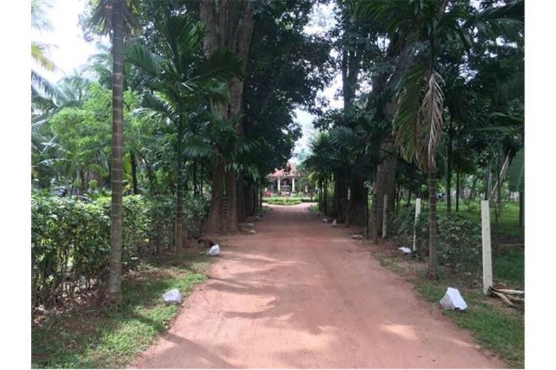 Cheshire Disability Meet 