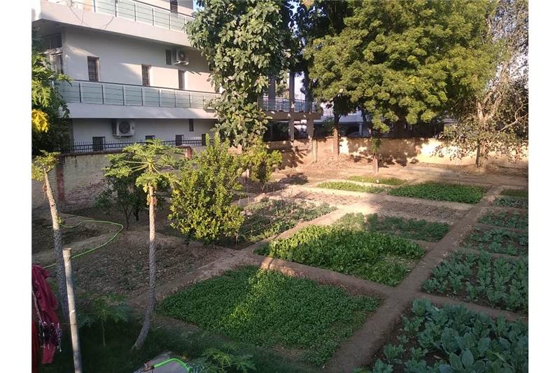 Admiring Cheshire Home Lucknow Kitchen Garden