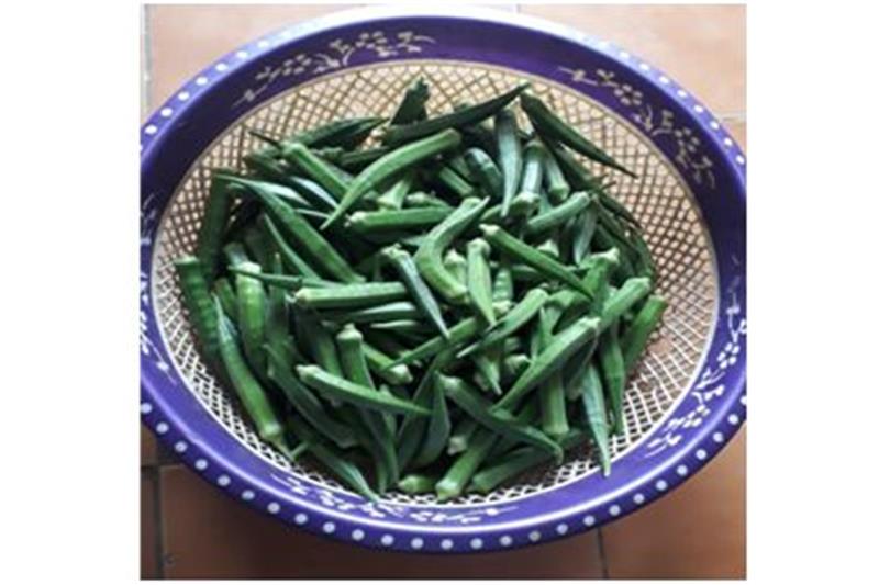 Organic vegetable are being produced in kitchen garden of Cheshire Home