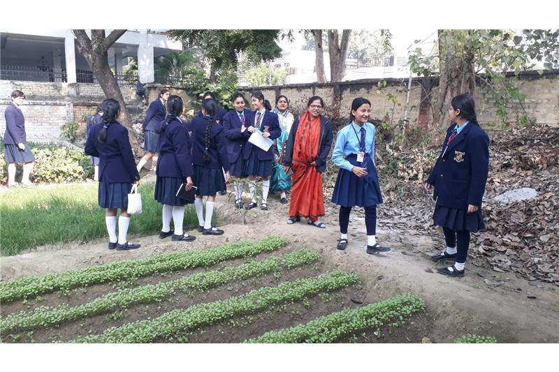 Cheshire Home by Children from Loreto Convent