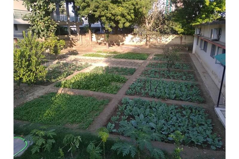 Admiring Cheshire Home Lucknow Kitchen Garden