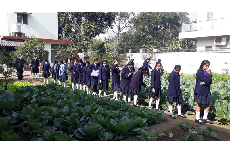 Cheshire Home by Children from Loreto Convent