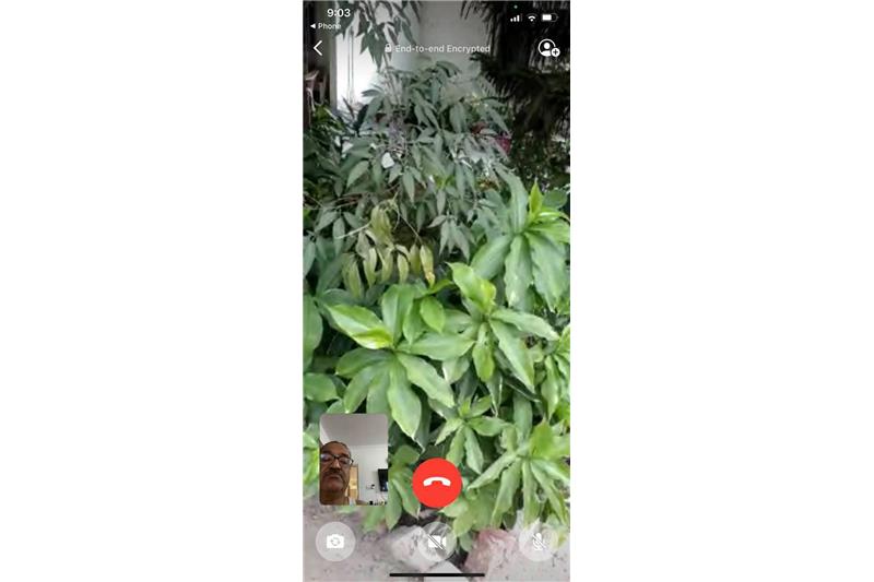 Summer Vegetables at Cheshire