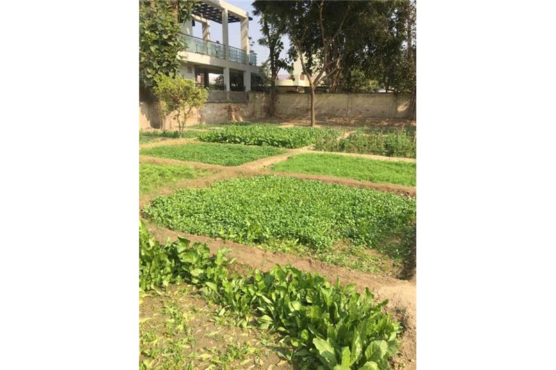 Cheshire Home Kitchen Garden.