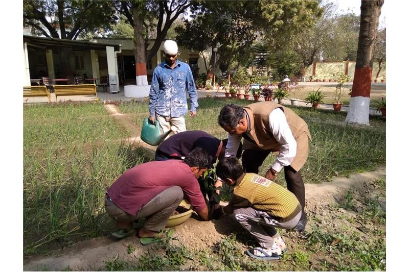 Tree plantation at Cheshire Home Lucknow