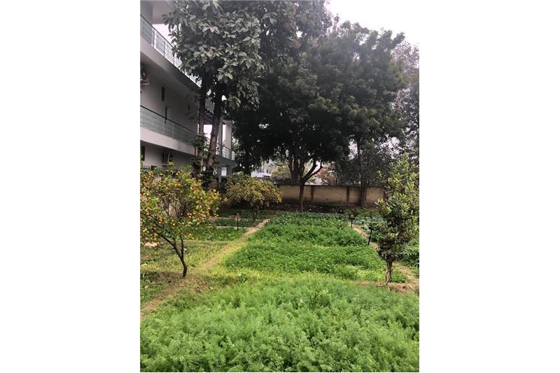 Cheshire Home Lucknow Kitchen garden 11 Jan 2020
