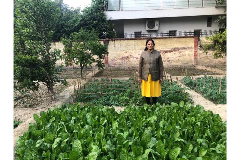 Admiring Cheshire Home Lucknow Kitchen Garden