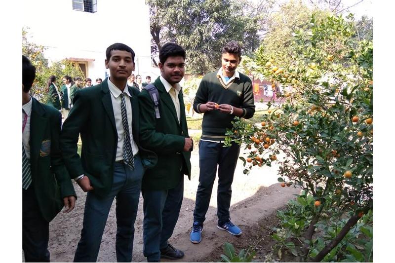 Children from SKD Academy visited the Cheshire Home Today. 29/1/2019