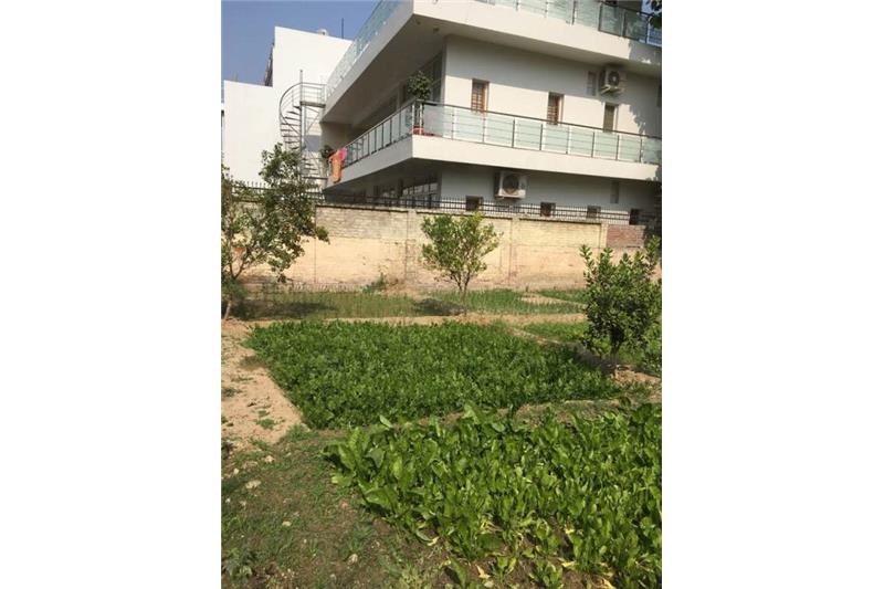 Cheshire Home Kitchen Garden.