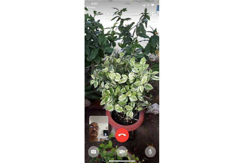 Summer Vegetables at Cheshire