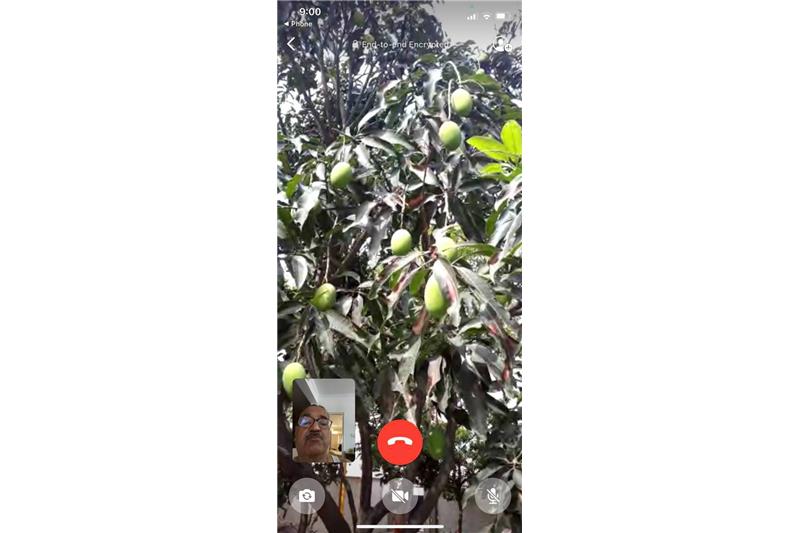 Summer Vegetables at Cheshire