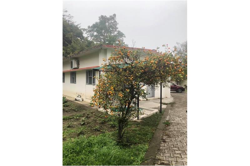 Cheshire Home Lucknow Kitchen garden 11 Jan 2020