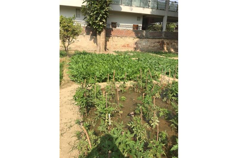 Cheshire Home Kitchen Garden.